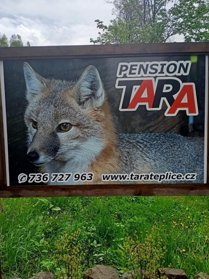 Pension Tara Teplice nad Metují المظهر الخارجي الصورة